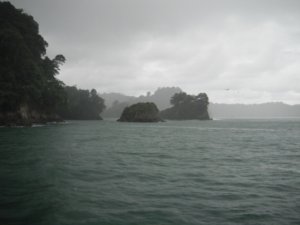 Manuel Antonio Nation from the sea, with bird soaring in the distance