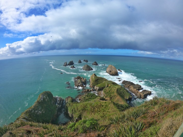 Nugget Point, Catlins, New Zealand