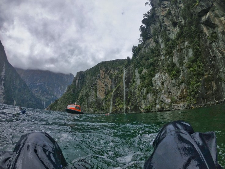 Swimming in a dry Suit in Milford Sound, views of a dive boat and waterfalls