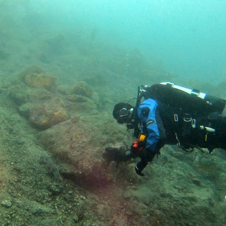 Scuba Diver and a Shark in Milford Sound