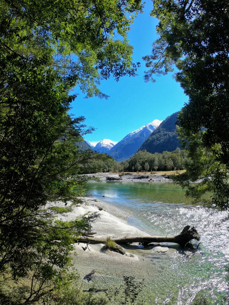 A river photographed through trees with snow capped mountains in the background