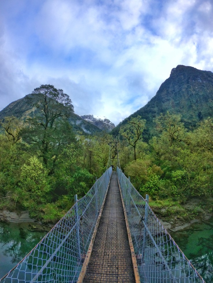 Suspension bridge along the Milford Track New Zealand