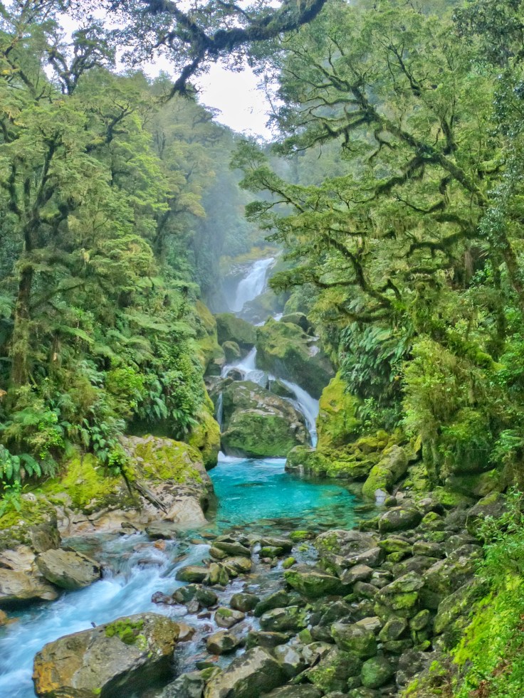 Mackay Falls, Milford Track New Zealand