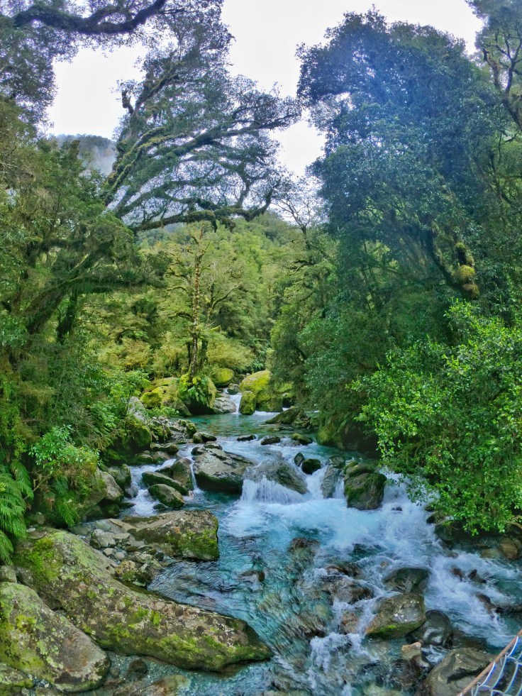 River flows over rocks in the Milford Track Great Walk New Zealand