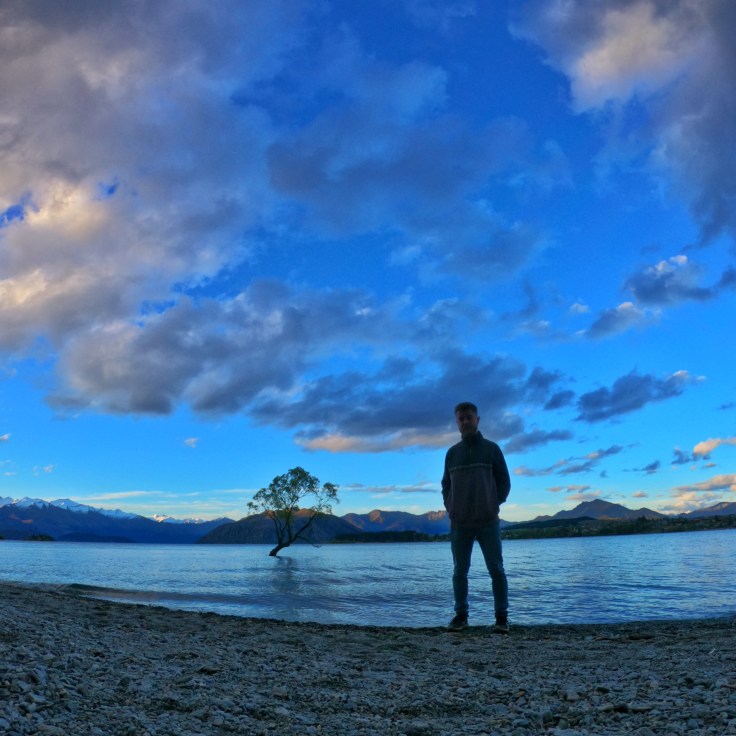 Wanaka Tree at sunset with Calum Everitt in the foreground