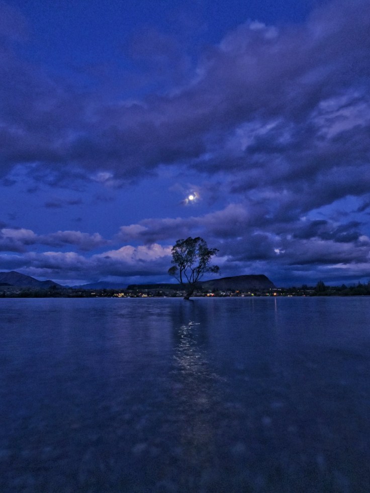 Wanaka Tree at night with a full moon behind it