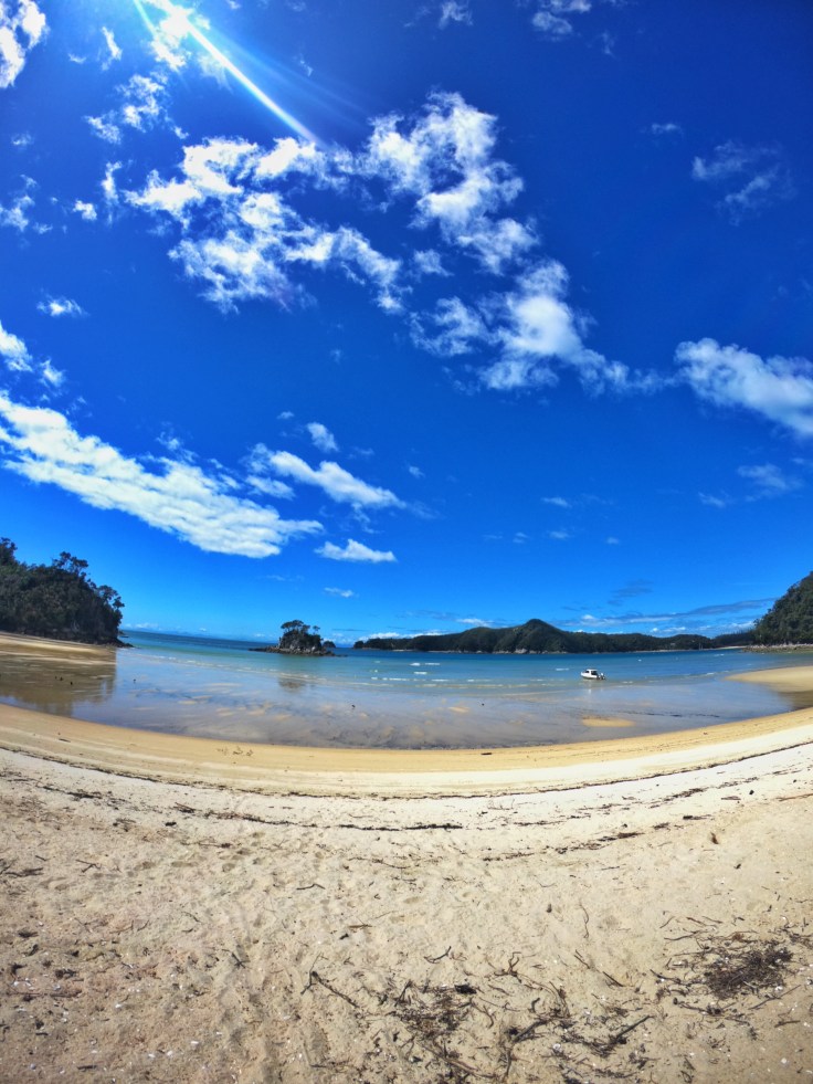 Beach on the Abel Tasman Track