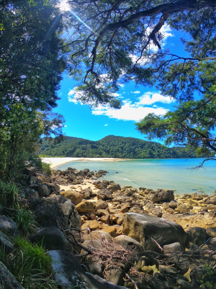 Rocks and a Beach captured through trees