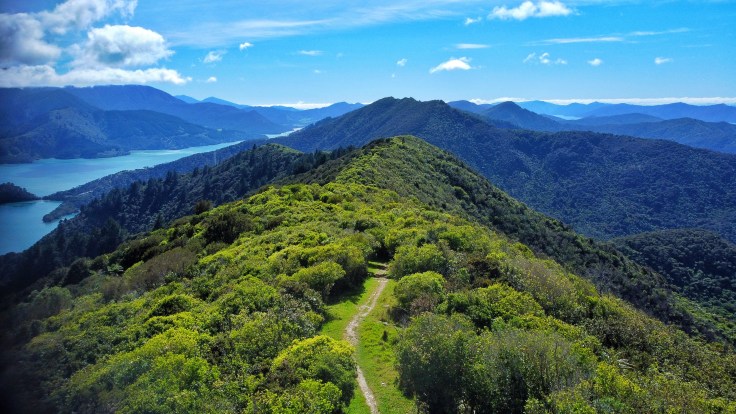 Drone shot from the Queen Charlotte Track
