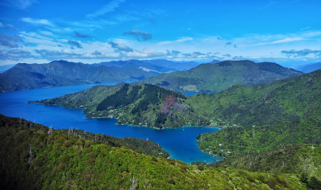 Queen Charlotte Sound looking back towards Picton