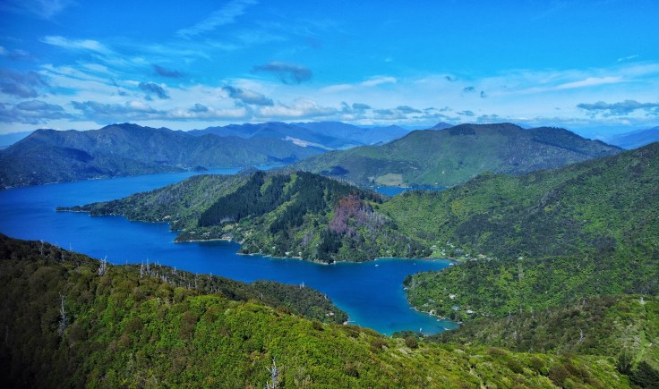 Queen Charlotte Sound looking back towards Picton