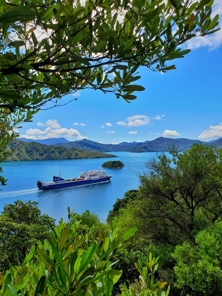 Interislander Ferry as seen from the Snout Track