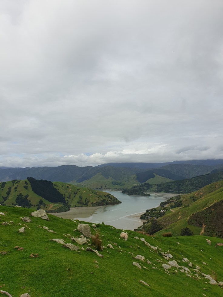 Cable Bay New Zealand