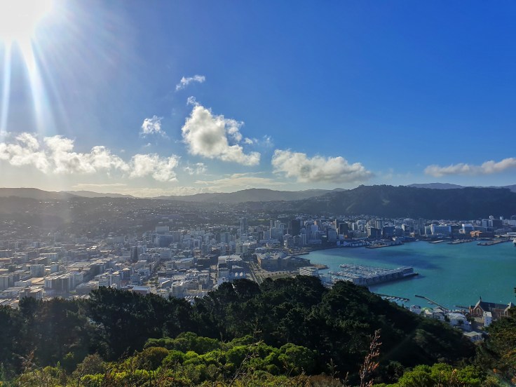 View of wellington on sunny day from Mt Victoria