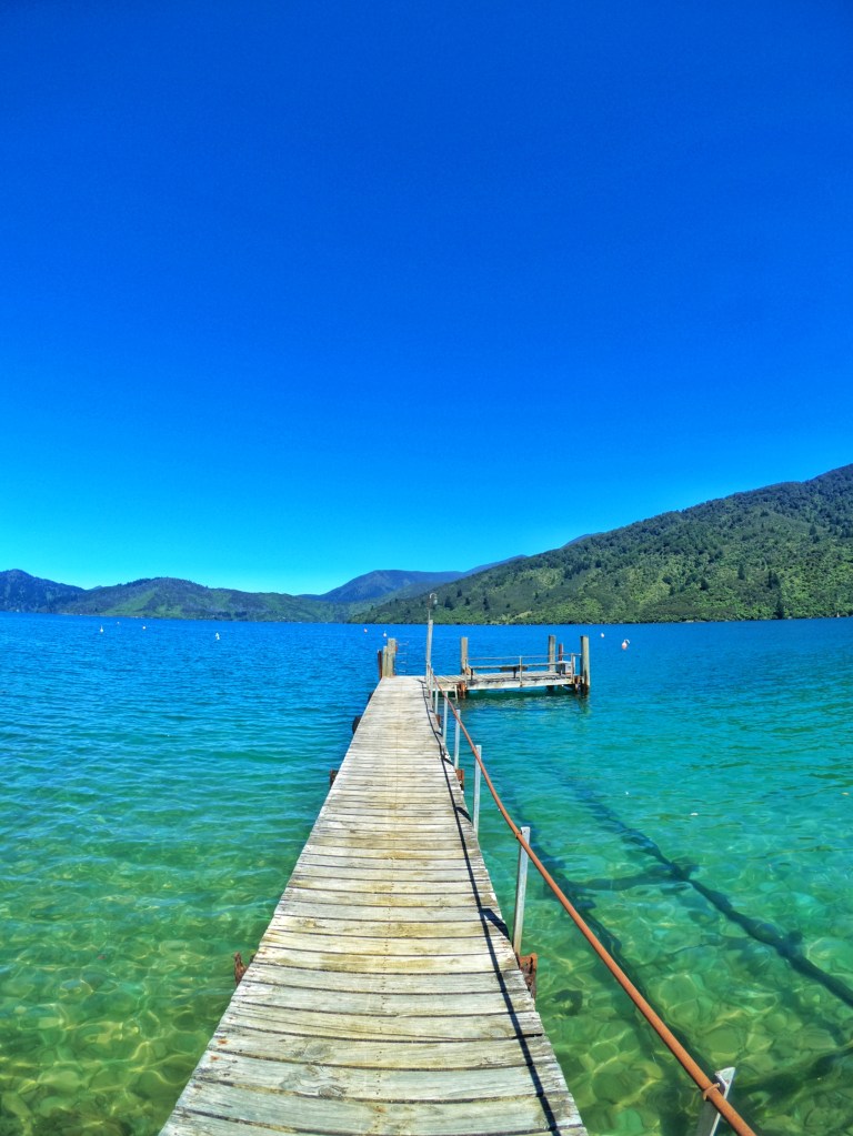 Jetty leads out into the queen charlotte sound NZ