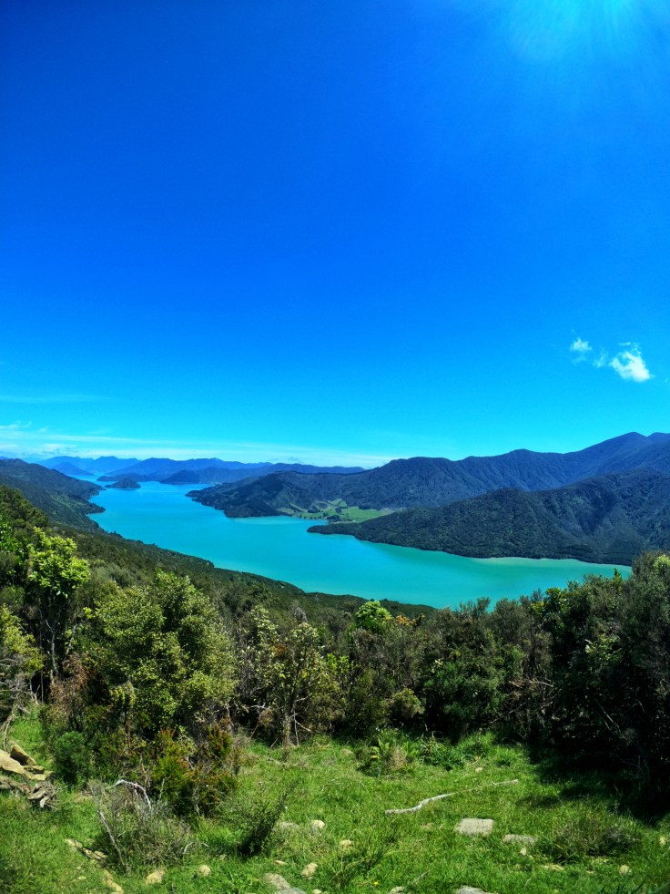 Kenepuru Sound, New Zealand