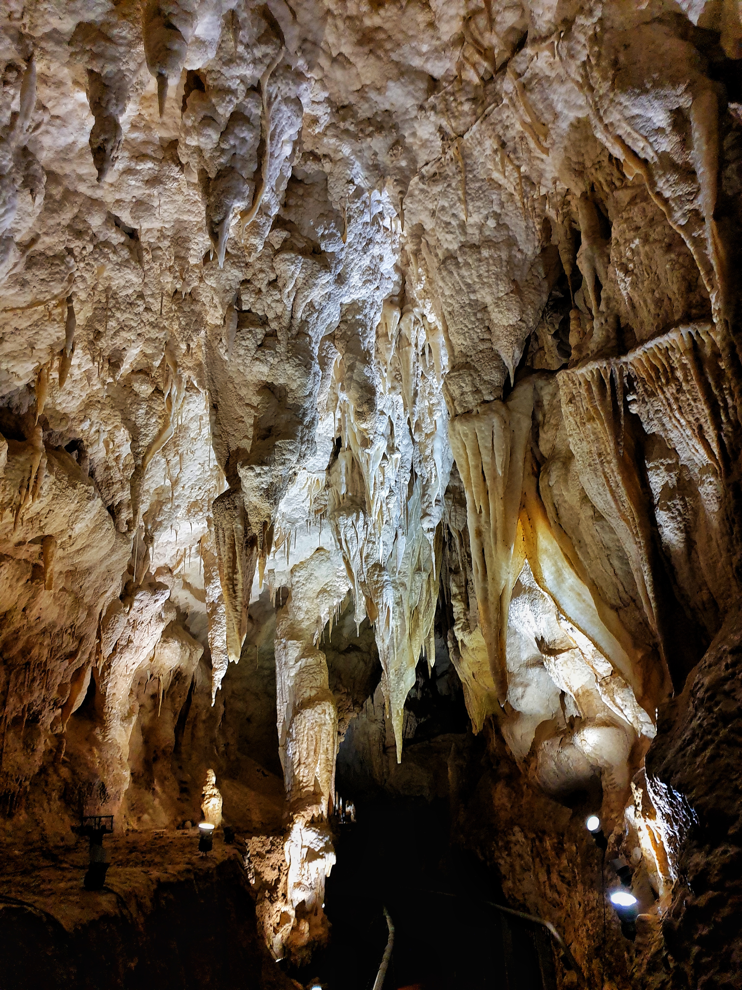Limestone formations in Ruakuri cave