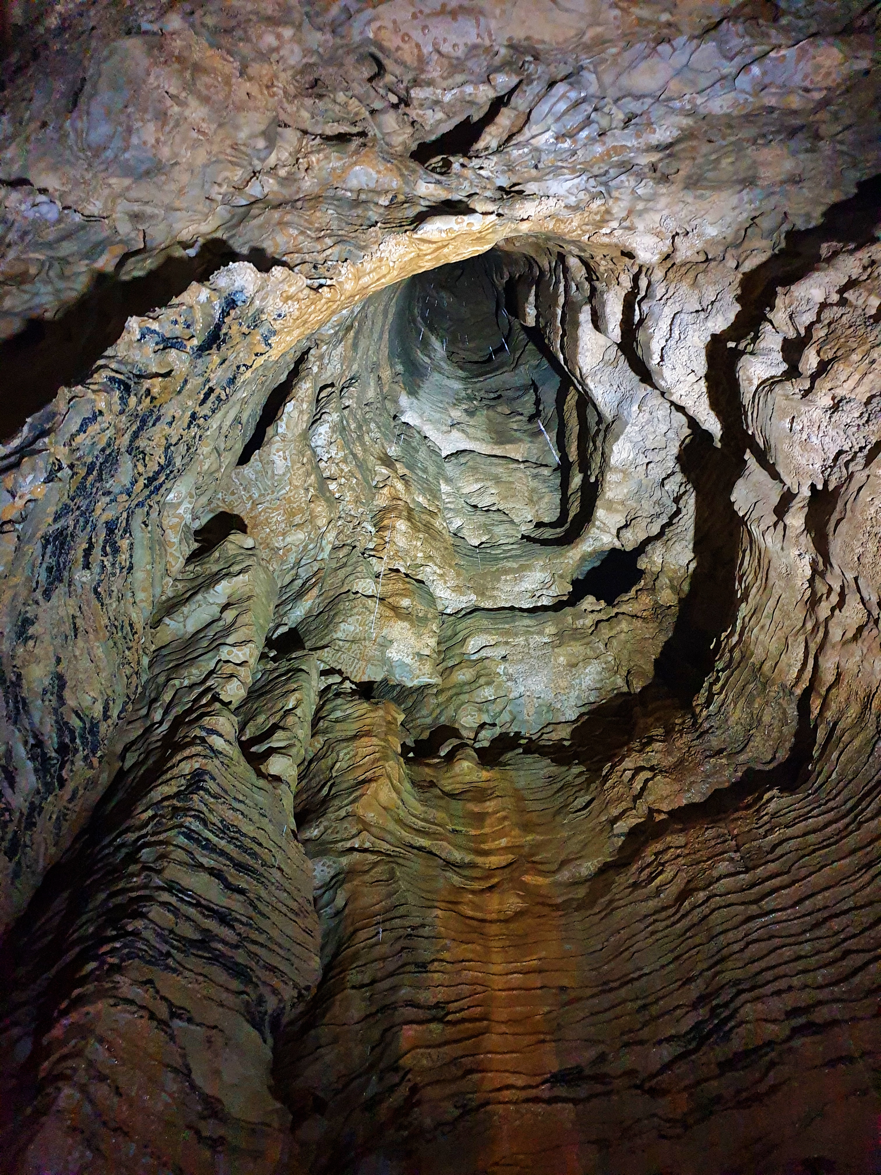Big hole in Ruakuri cave
