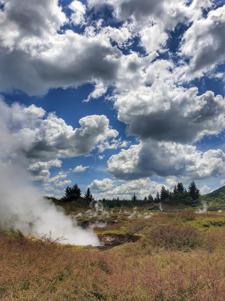 Steam vents at Craters of the Moon, NZ