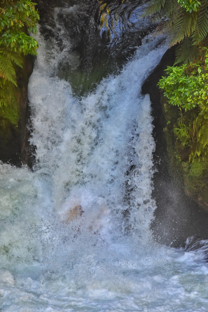Okere Falls, New Zealand