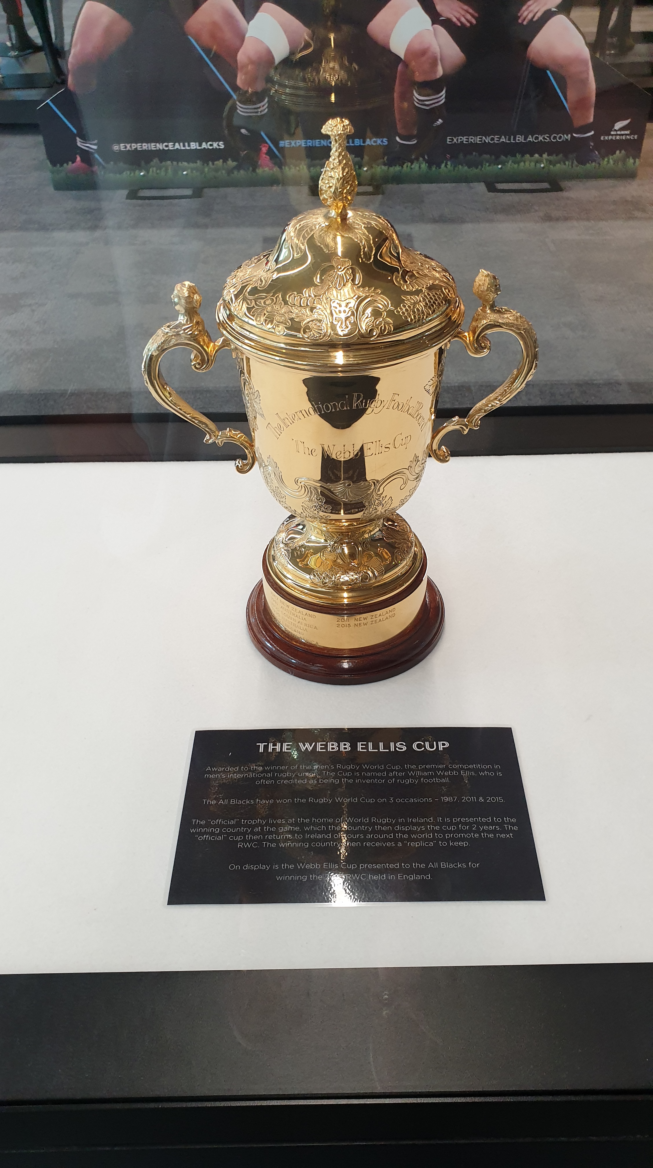 Rugby World Cup Trophy