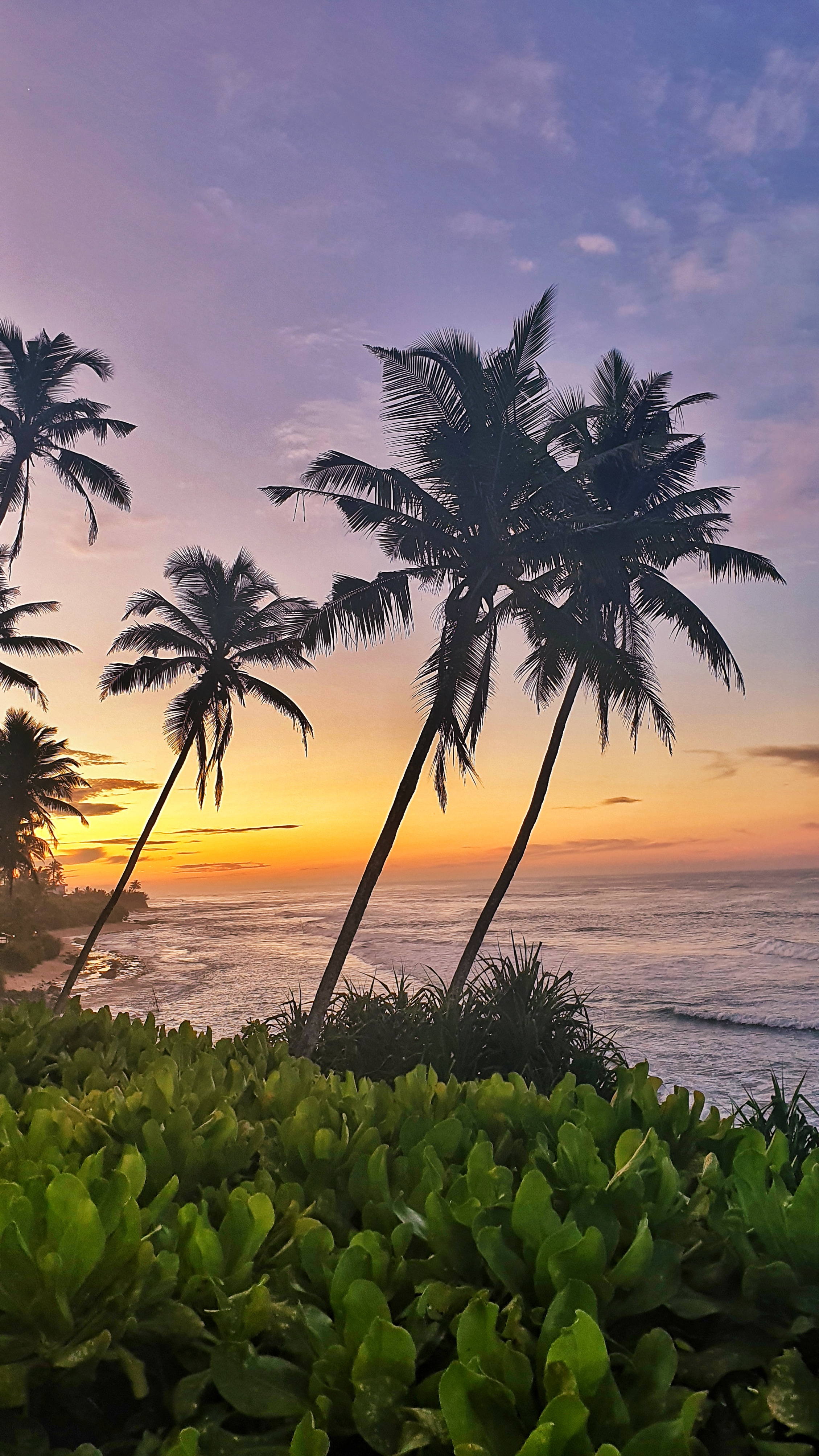 Sunrise at Coconut tree hill Sri Lanka