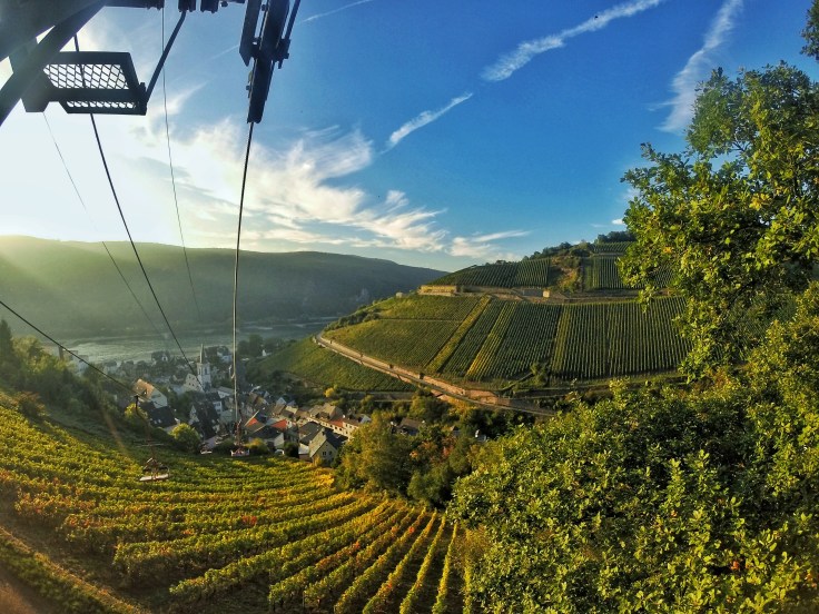 cable car down in Assmannshausen
