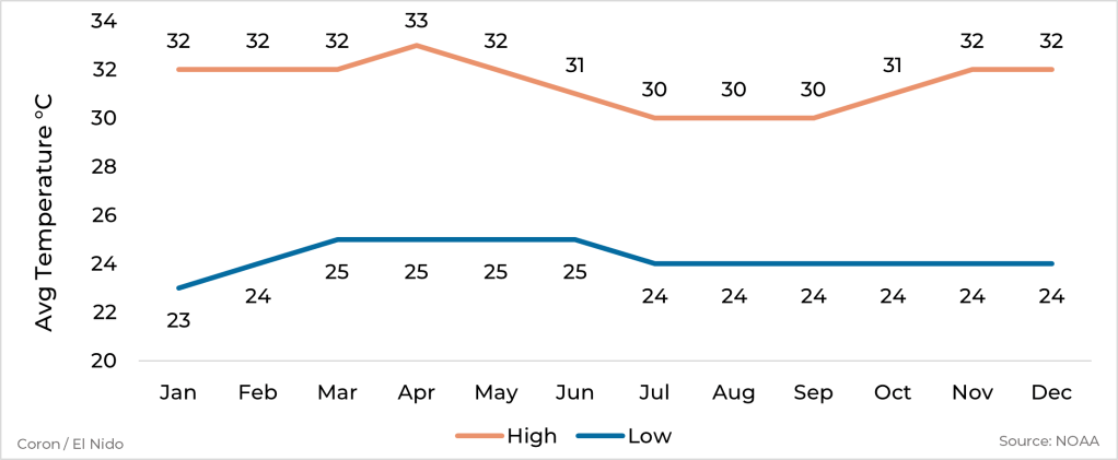 Graph showing average high and low temperature by month for Coron & El Nido, Philippines