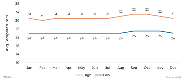 Graph showing average high and low temperature by month for Manaus, Brazil